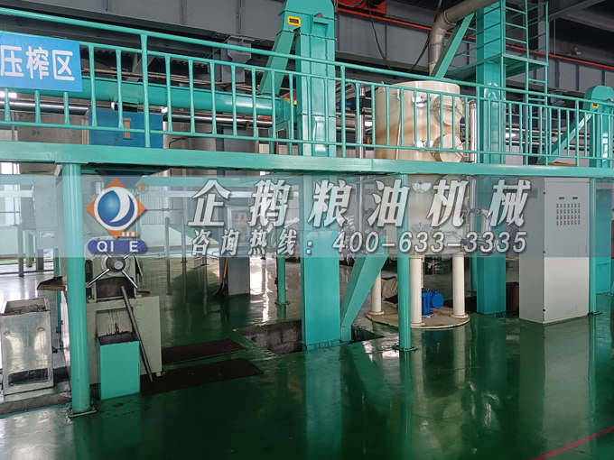 企鵝牌茶籽油雙螺桿榨油機(jī)，用心制造獲得客戶認(rèn)可(圖2)